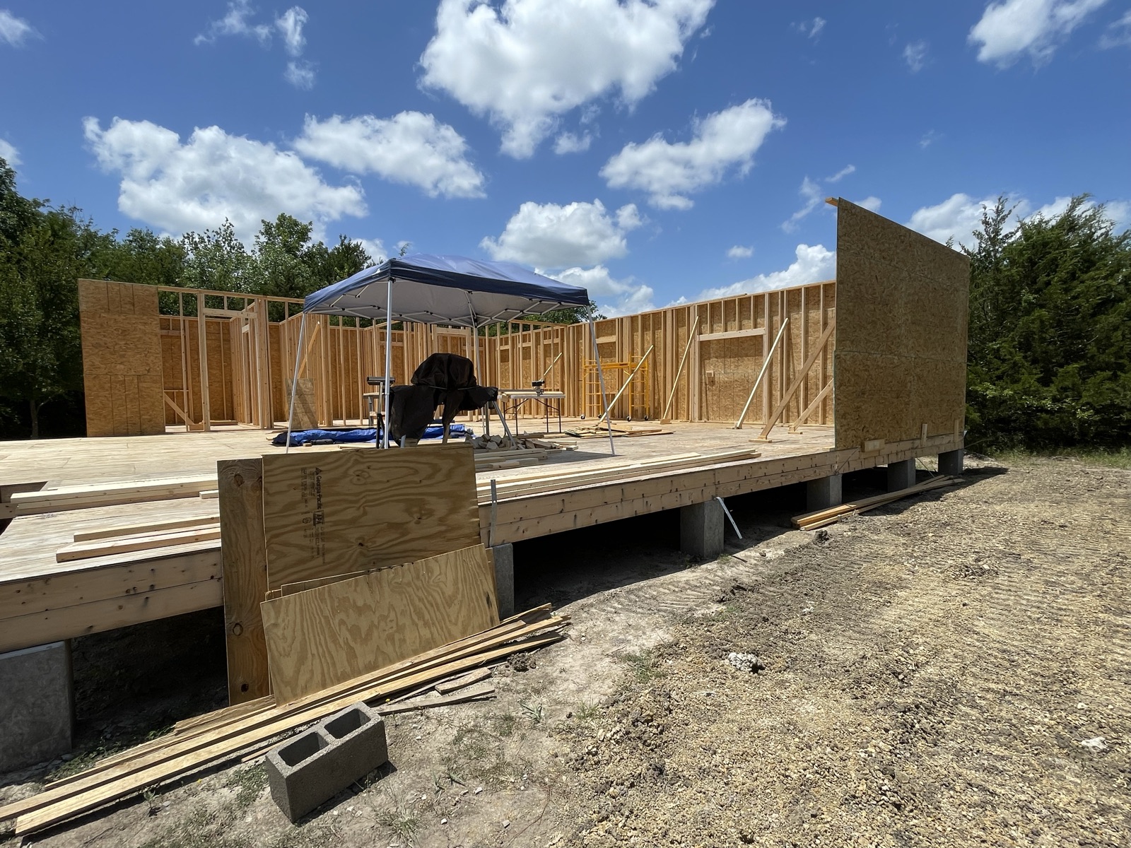 Subfloor down, first walls going up