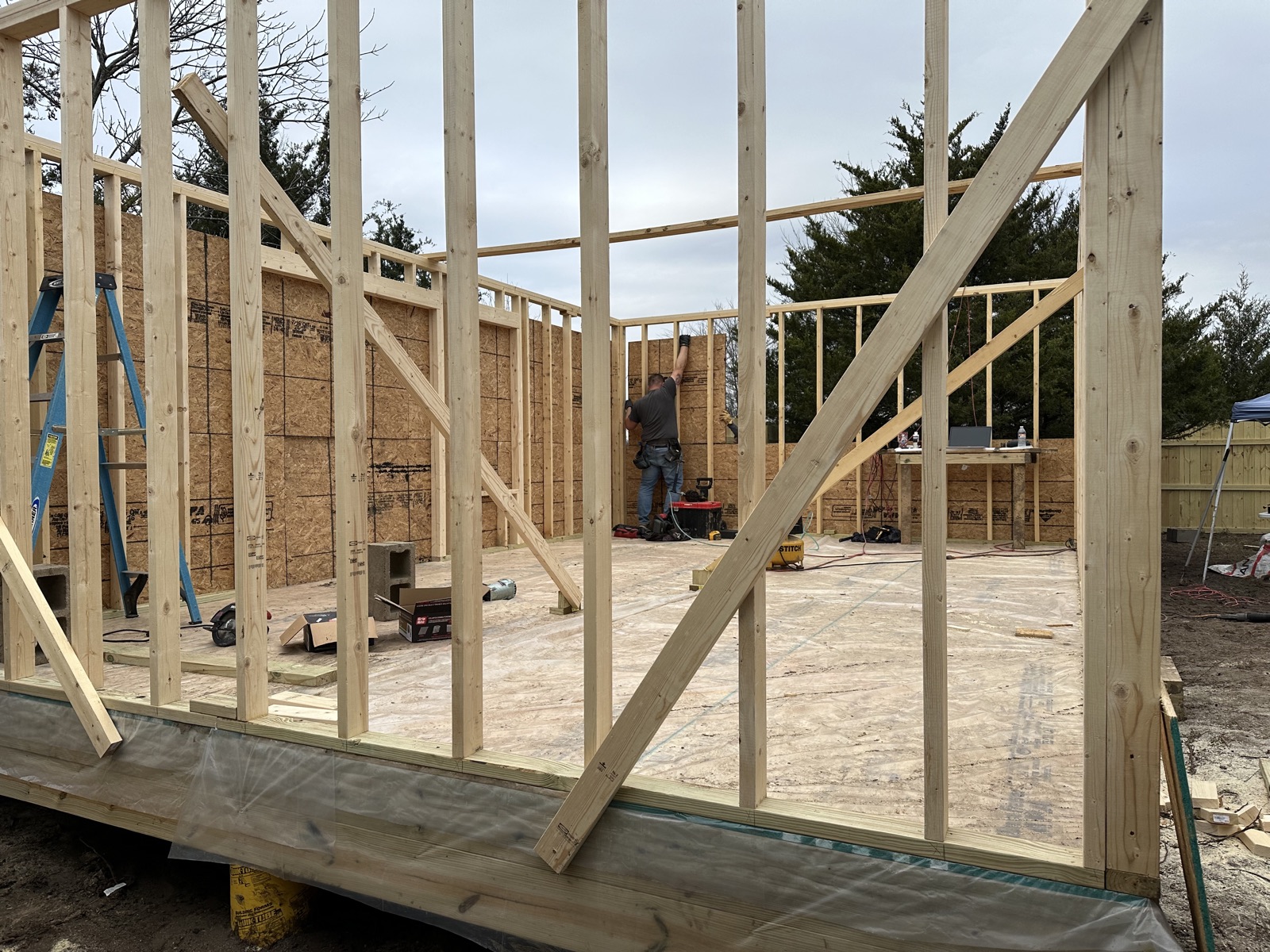 Wall framing and sheathing